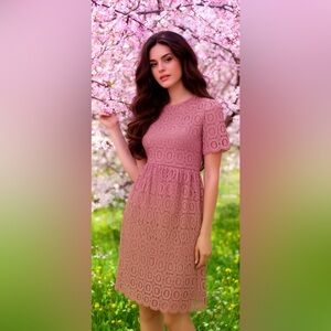 Mauve Rose Lace Scalloped Chick Dress NWT